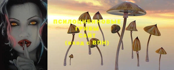 мдпв Кукмор
