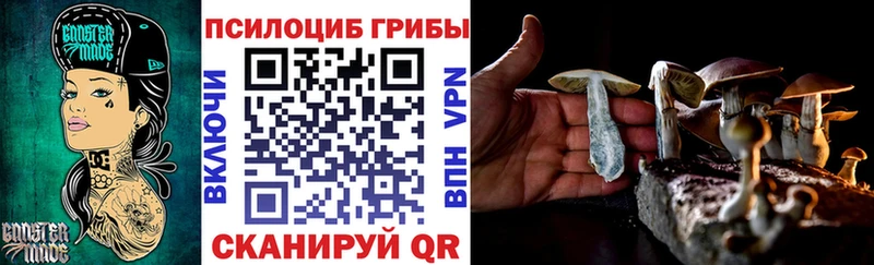 Купить где Кореновск Галлюциногенные грибы MAGIC MUSHROOMS